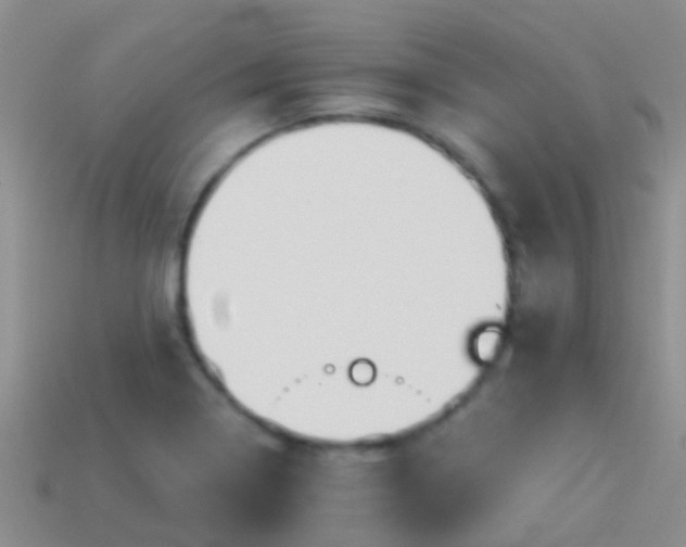 X0000114161322200910151557