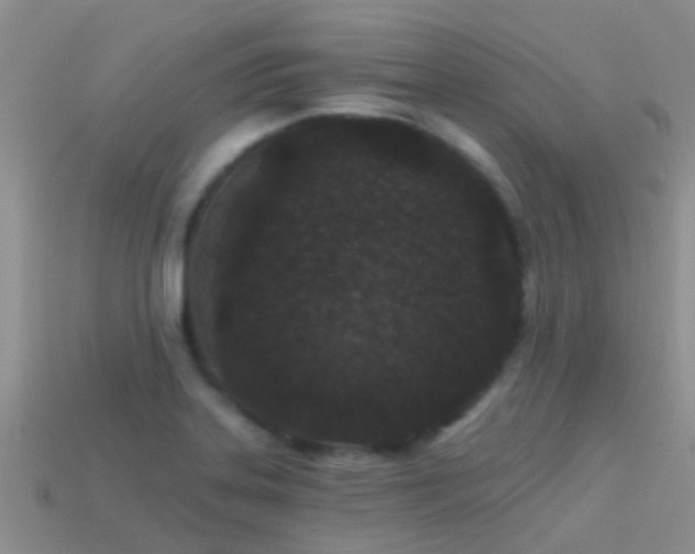 X0000114161323200910151557