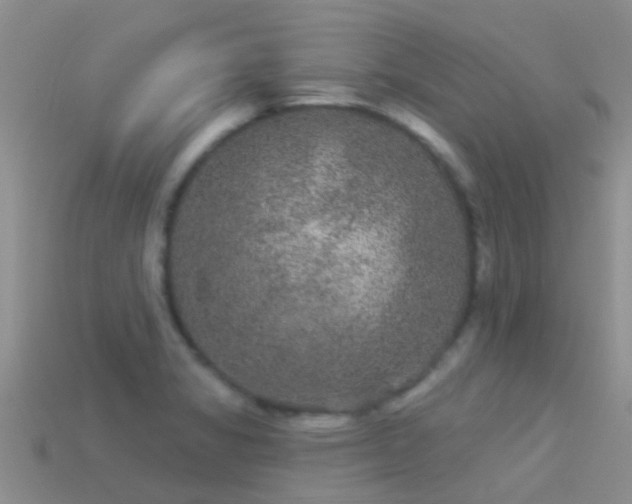 X0000114161325200910151557