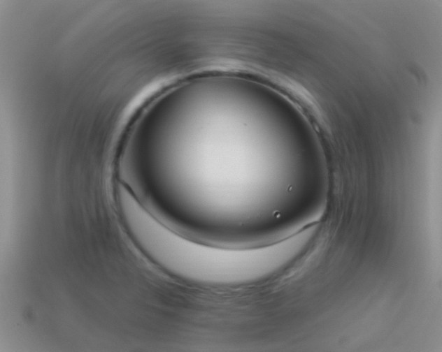 X0000114161326200910151557