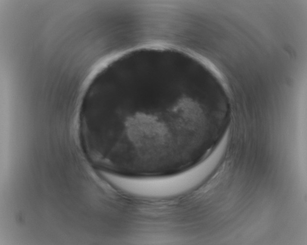 X0000114161327200910151557