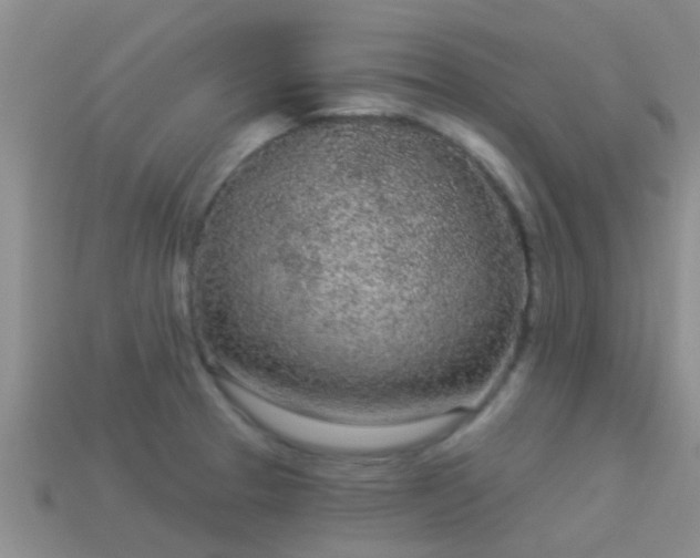 X0000114161329200910151557