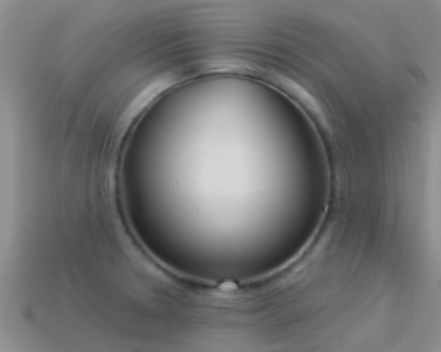 X0000114161330200910151557