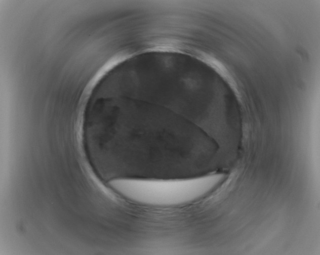 X0000114161331200910151558