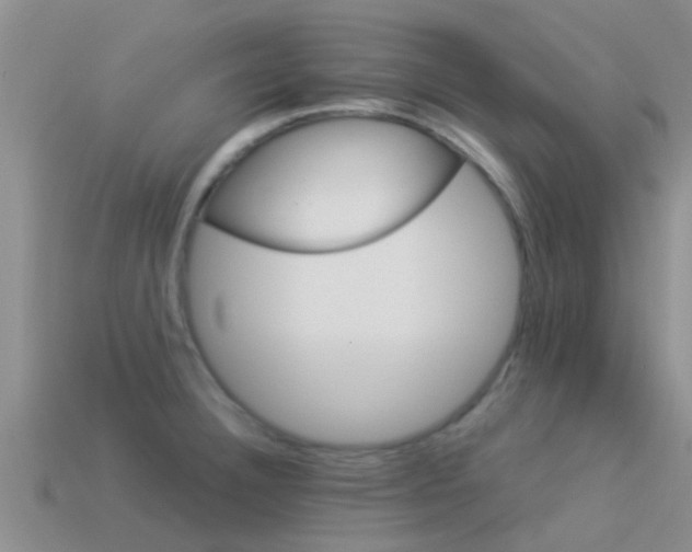 X0000114161332200910151558