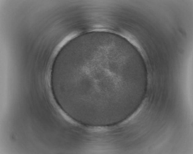 X0000114161333200910151558