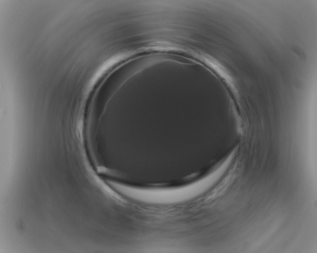 X0000114161334200910151558