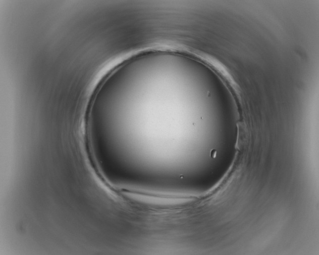 X0000114161335200910151558