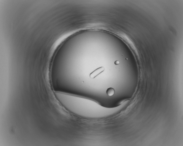 X0000114161336200910151558