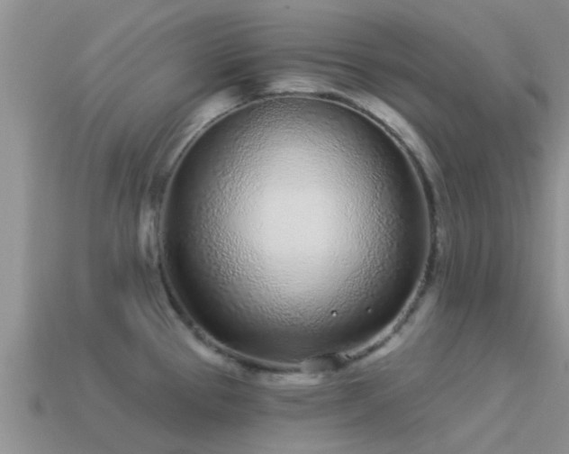 X0000114161337200910151558