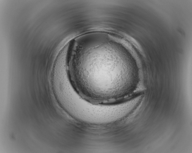 X0000114161338200910151558