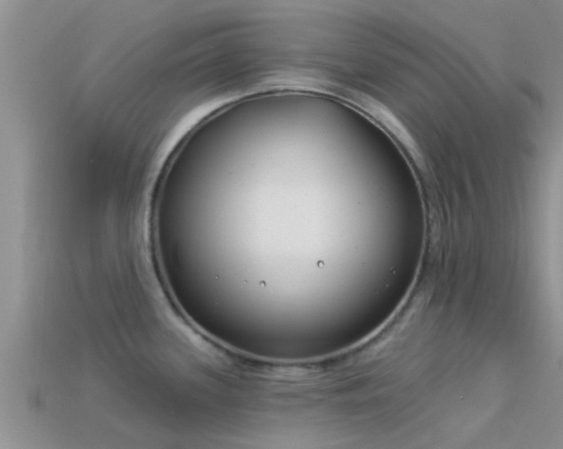 X0000114161339200910151558