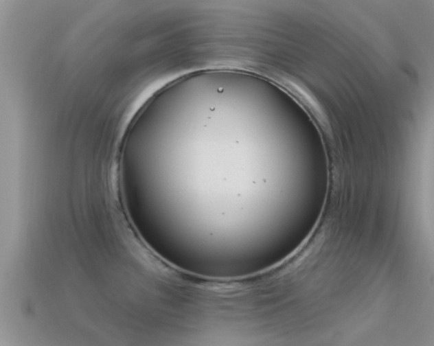 X0000114161340200910151558