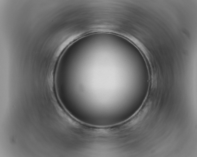 X0000114161341200910151558