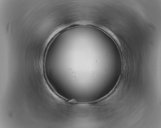 X0000114161343200910151558