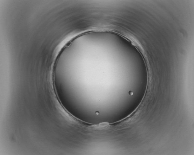 X0000114161344200910151558