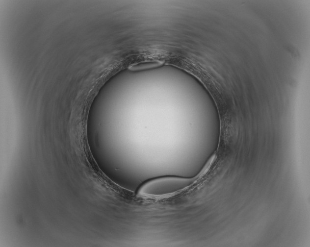 X0000114161345200910151557