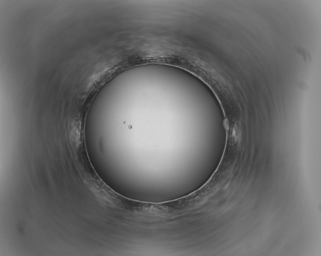 X0000114161348200910151557