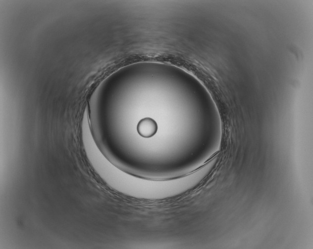 X0000114161349200910151557