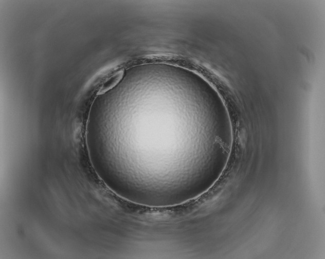 X0000114161351200910151557