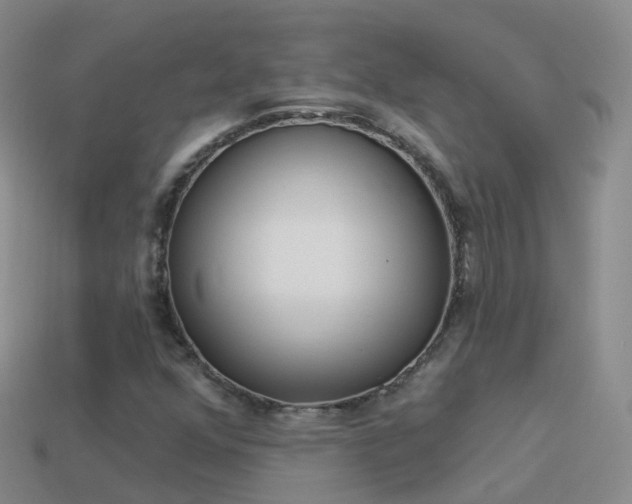 X0000114161352200910151557