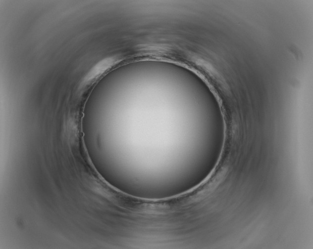 X0000114161354200910151557