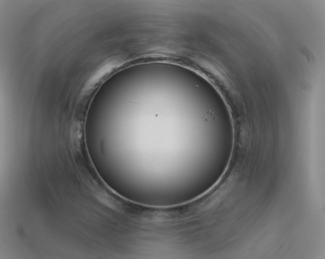 X0000114161355200910151557