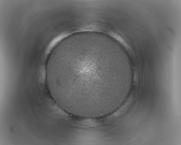 X0000114161358200910151557