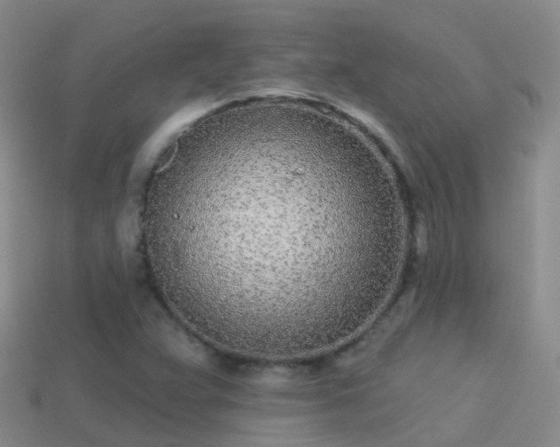 X0000114161359200910151557