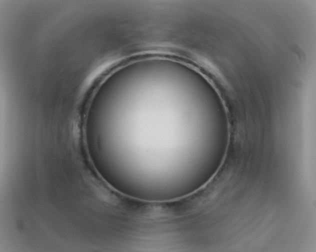 X0000114161360200910151557