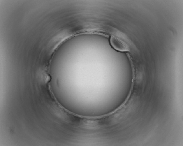 X0000114161361200910151557