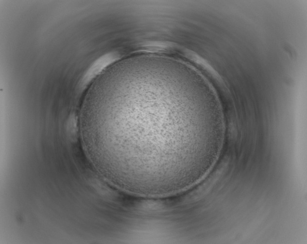 X0000114161362200910151557