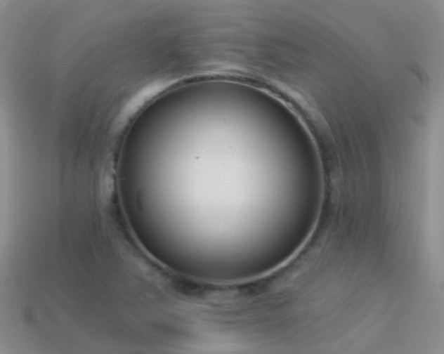 X0000114161363200910151557