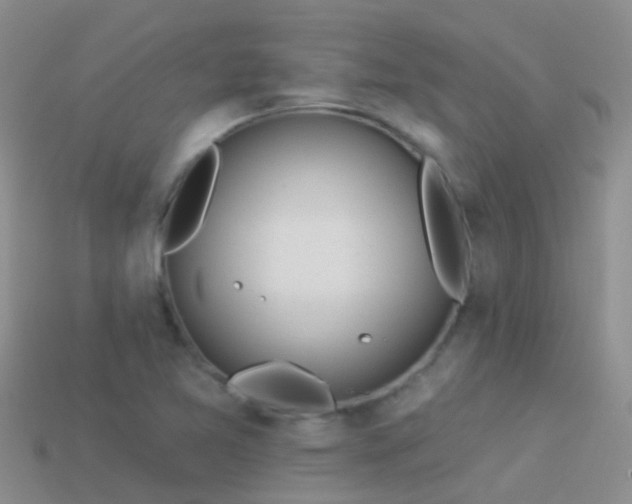 X0000114161365200910151557