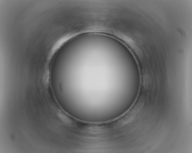 X0000114161366200910151557