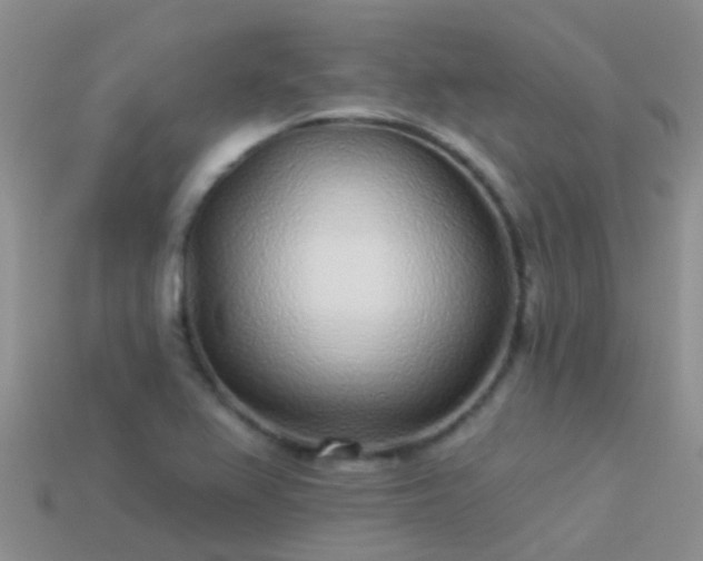 X0000114161367200910151557