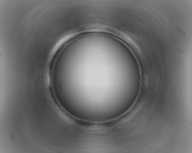 X0000114161368200910151557