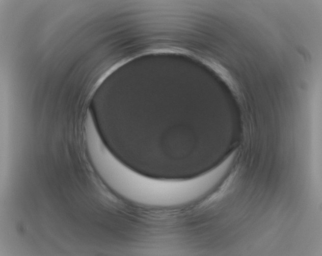 X0000114161369200910151557