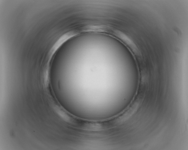 X0000114161370200910151557