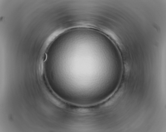 X0000114161371200910151557