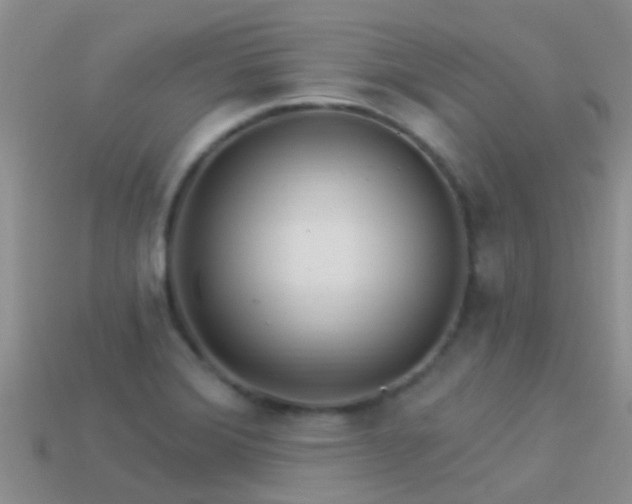 X0000114161372200910151557