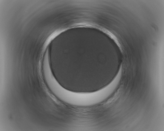 X0000114161373200910151557