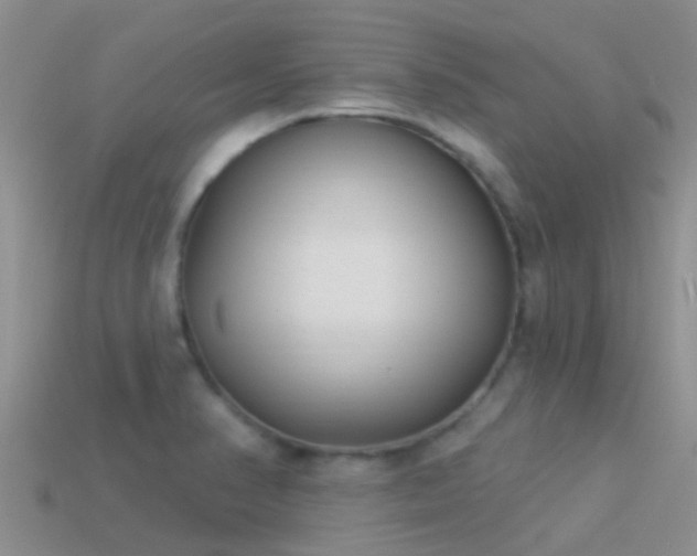 X0000114161374200910151557