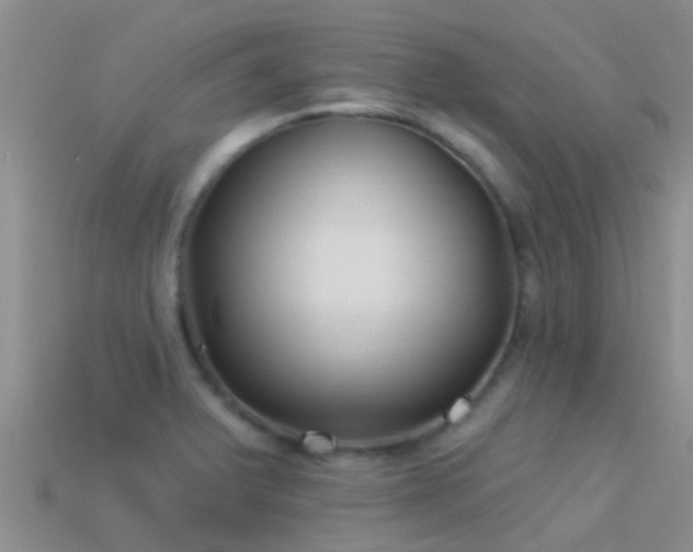 X0000114161375200910151557