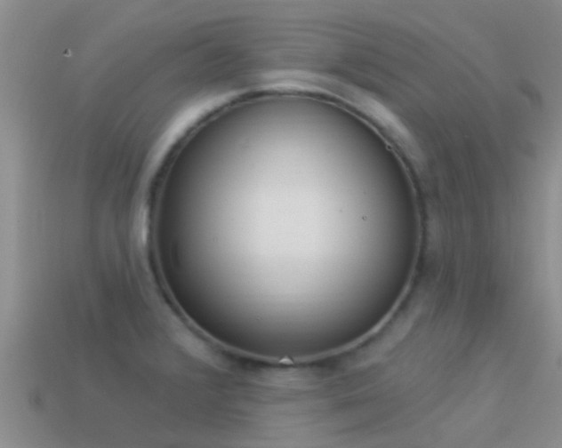 X0000114161376200910151557