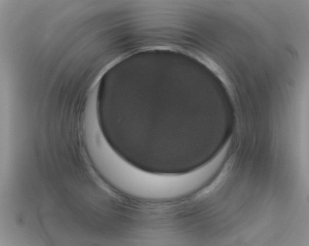 X0000114161377200910151557