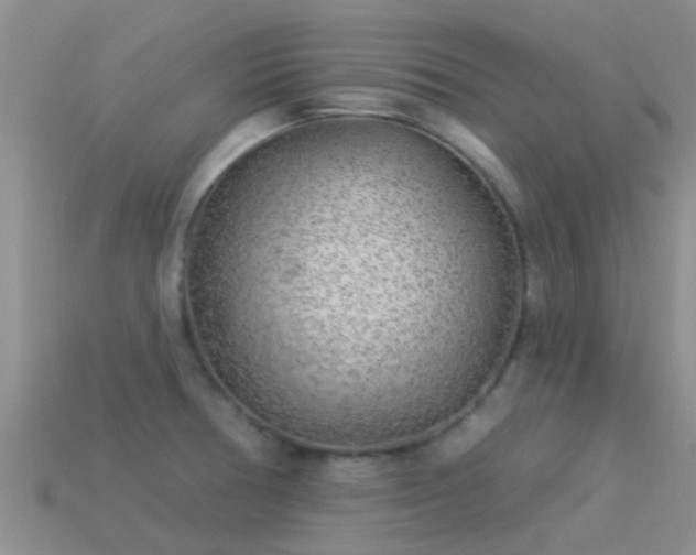 X0000114161378200910151557