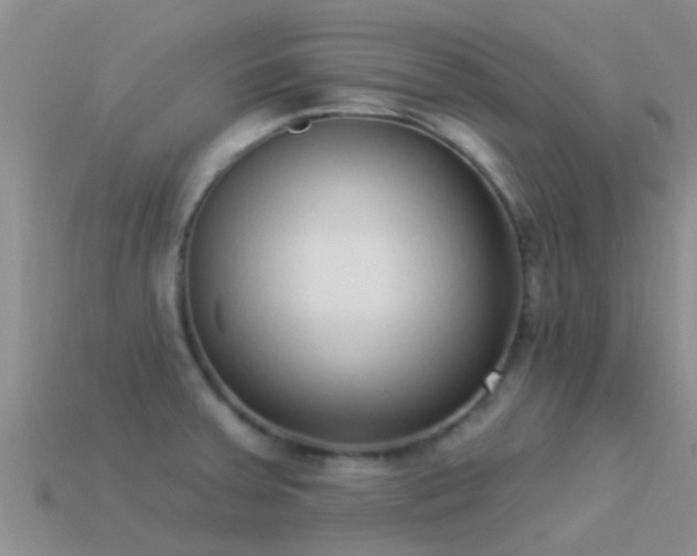 X0000114161379200910151557