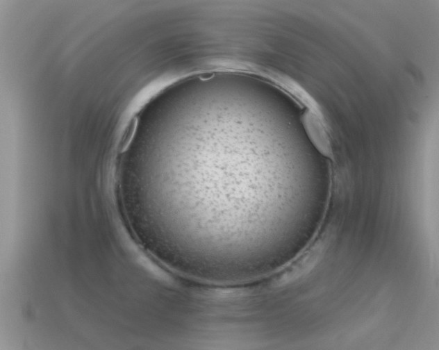 X0000114161381200910151557