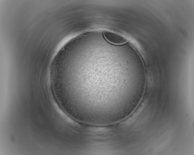 X0000114161382200910151557